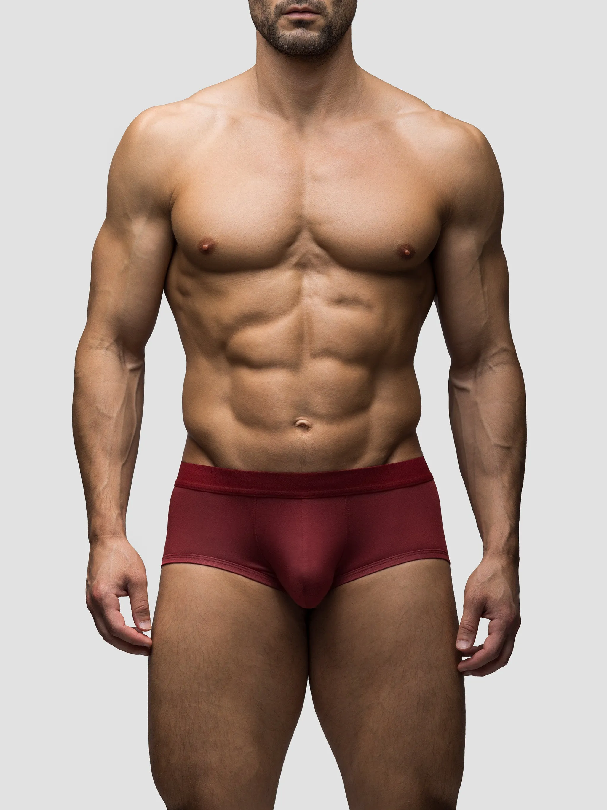 Dark Brick Mid-Rise Brief